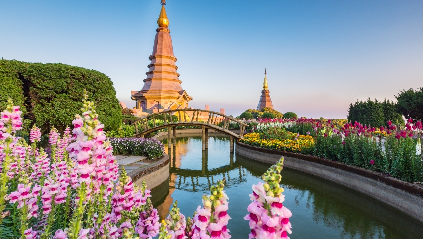 Essence Of Thailand